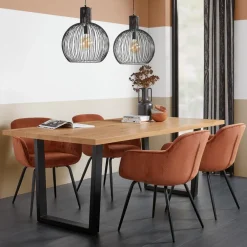 Kwantum Hanglampen*Hanglamp Diana Zwart