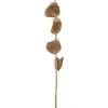 Kwantum Kunstplanten & Kunstbloemen*Kunsttak Capiz Taupe