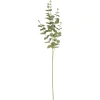 Kwantum Kunstplanten & Kunstbloemen*Kunsttak Eucalyptus Groen